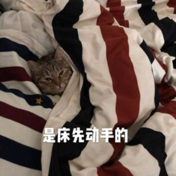 表情包图片 _ 第(9)张