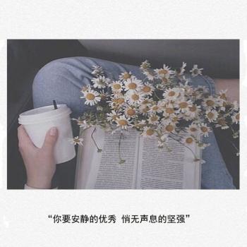 第0张