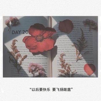 第3张