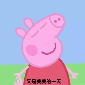 第0张