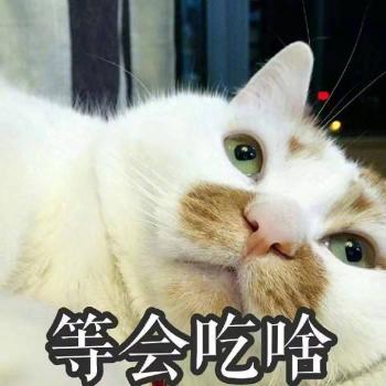 第0张
