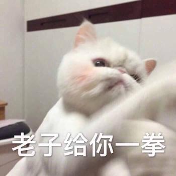 第3张