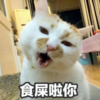小猪佩奇最新带字表情包图片第4张