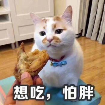 小猪佩奇最新带字表情包图片第5张