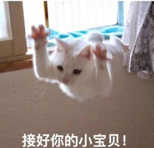 小猪佩奇最新带字表情包图片第6张