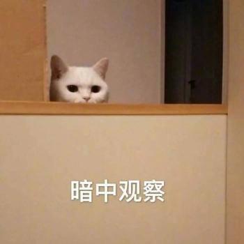 表情包图片 _ 第(8)张