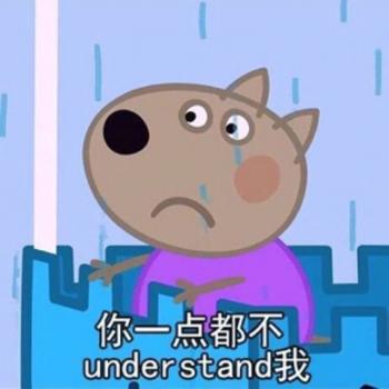 第3张