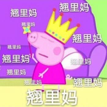 小猪佩奇最新带字表情包图片第6张