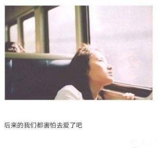 第0张