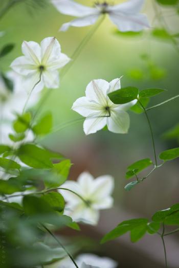图片 _ 第(9)张