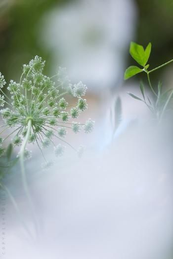 图片 _ 第(10)张
