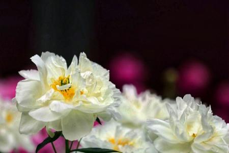 图片 _ 第(6)张