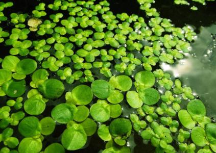 小清新图片 _ 第(8)张