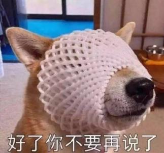 表情包图片 _ 第(8)张