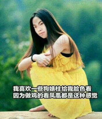 第3张