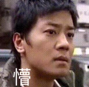 可爱猫咪带字表情包图片第5张