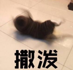 小猪佩奇最新带字表情包图片第5张