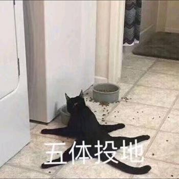 表情包图片 _ 第(10)张