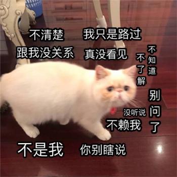 表情包图片 _ 第(17)张