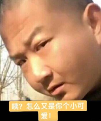 表情包图片 _ 第(10)张