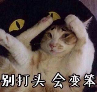 第3张