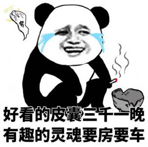 第3张