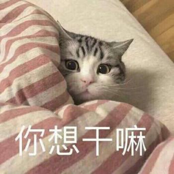 表情包图片 _ 第(13)张