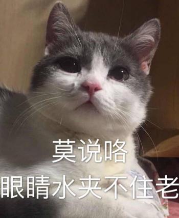 表情包图片 _ 第(16)张