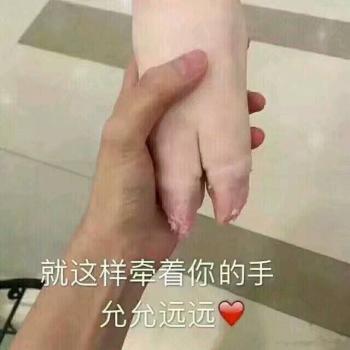 表情包图片 _ 第(18)张