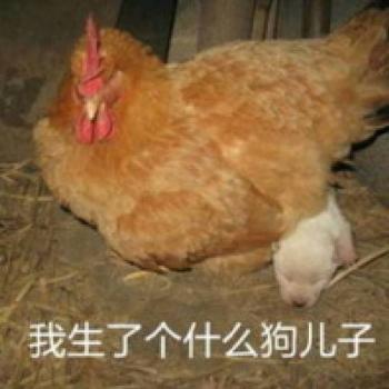 表情包图片 _ 第(27)张