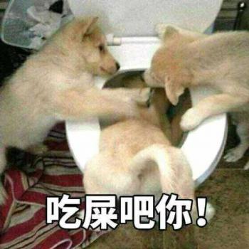 表情包图片 _ 第(28)张