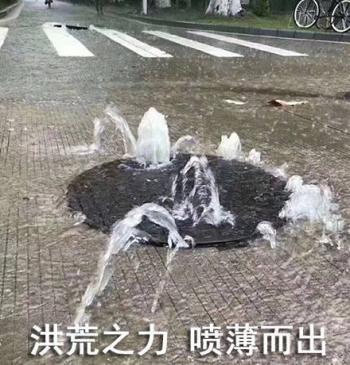 熊猫图片 _ 第(10)张