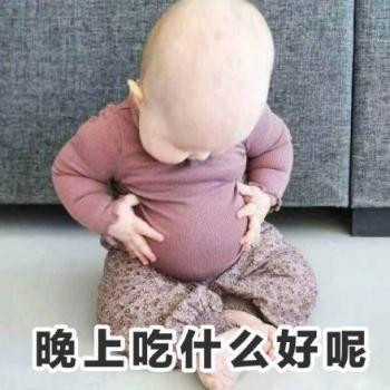 熊猫图片 _ 第(15)张