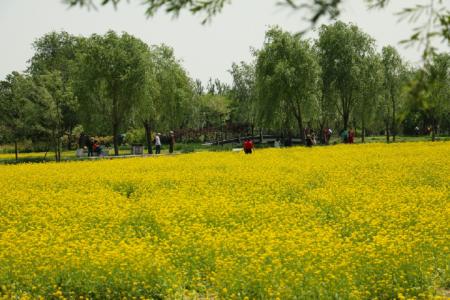 图片 _ 第(1)张