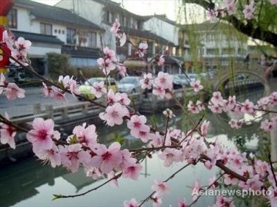 春景第0张