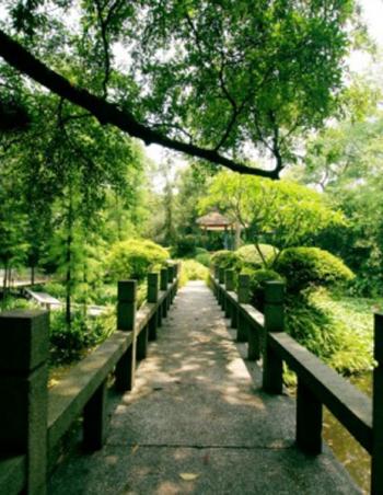 唯美花园图片 _ 第(17)张