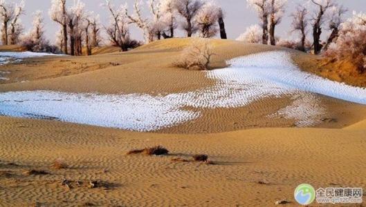 冬天雪景唯美手机壁纸图片第5张