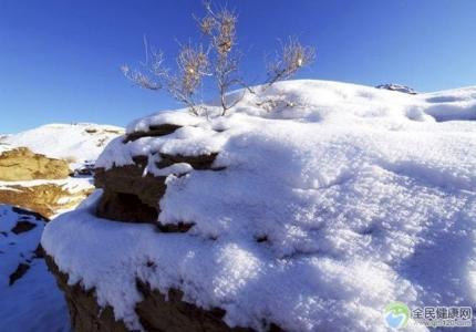 雪景图片 _ 第(10)张