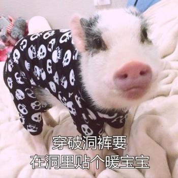 图片 _ 第(1)张