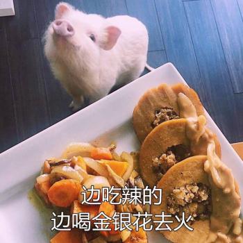 图片 _ 第(4)张