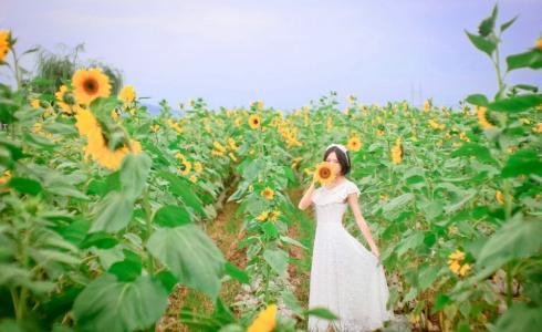 图片 _ 第(10)张