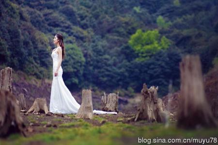 婚纱图片图片 _ 第(2)张