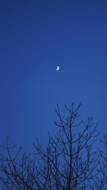 图片 _ 第(3)张