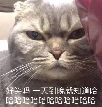 第2张