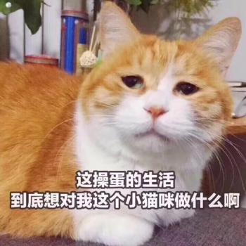 微信搞笑必备表情包图片第4张