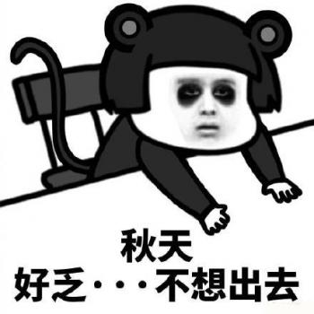 第3张