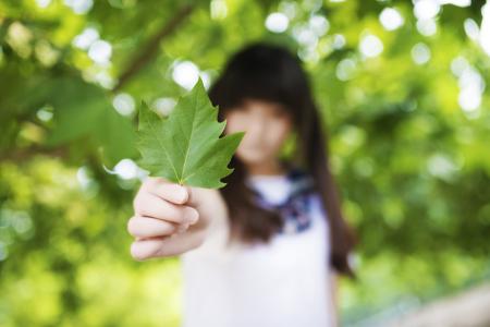 图片 _ 第(6)张