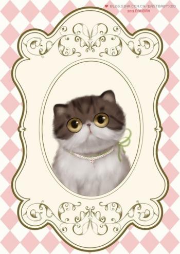 萌宠图片图片 _ 第(9)张
