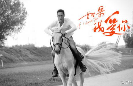 电视剧《如果我爱你》海报剧照第0张