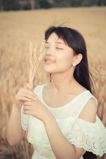 麦田第5张